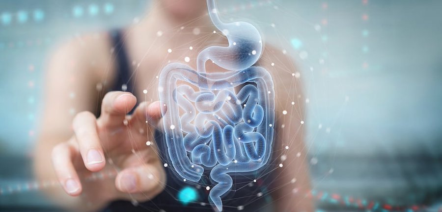 Expertos coinciden en que la microbiota tiene un rol esencial en la salud infantil
