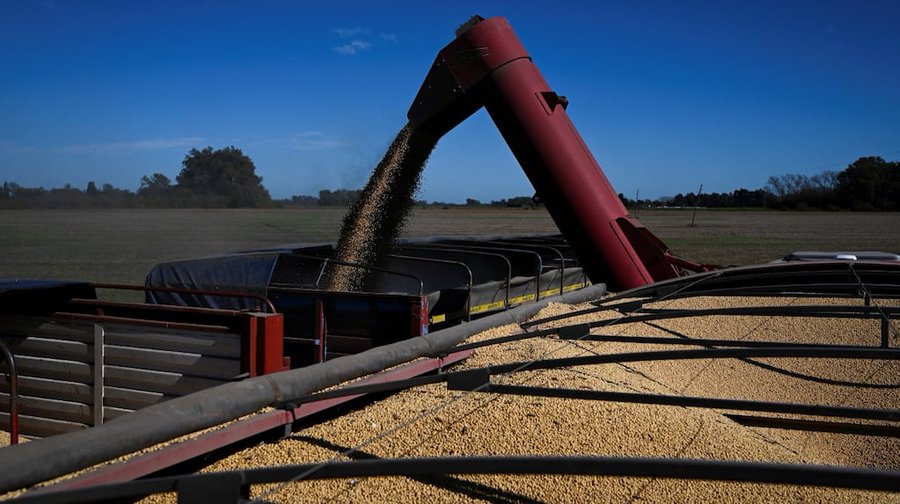 El Gobierno oficializó la baja de retenciones a la soja, el maíz y trigo: cómo quedan las alícuotas desde hoy