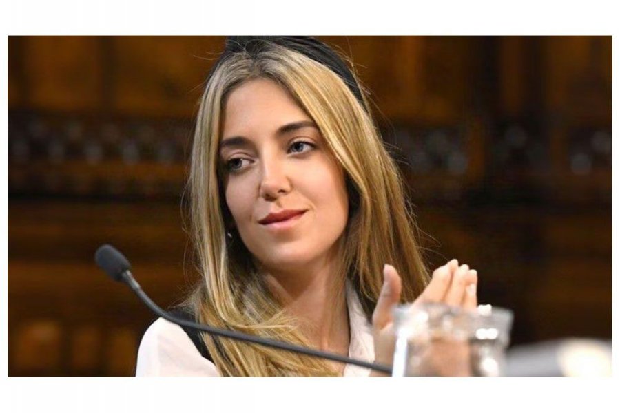 Coimas en Andis: una exfuncionaria hablaba de “karinear” el 3 por ciento